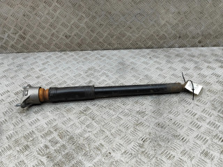 Задний aмортизатор      