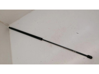 Амортизатор задней крышки