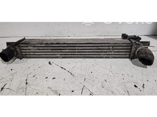 Интеркулер Citroen Nemo