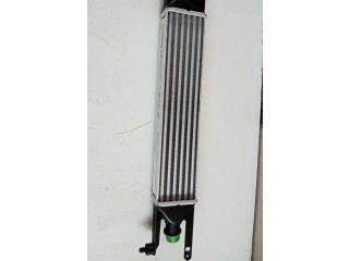 Интеркулер  55700449, 55700449   Fiat Punto Evo 