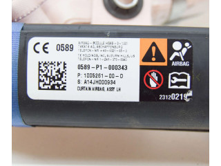 Боковая подушка безопасности 2459419D, 100526100D Tesla Model S