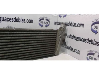 Интеркулер     Renault Clio II 