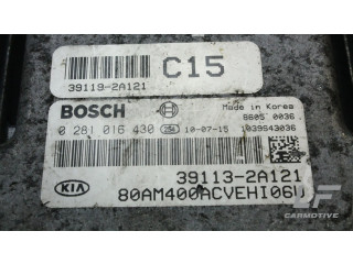 Řídící jednotka 0281016430, 391132A121 KIA Soul 2011