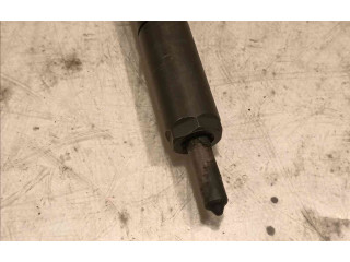 Форсунка 166003978R    Renault Clio II   