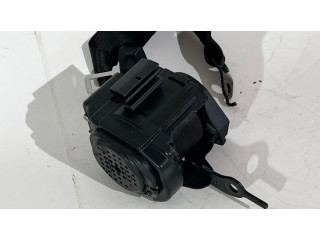 Задний ремень безопасности