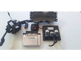 Комплект зажигания 04E907309BH, 517920740C Volkswagen Golf Sportsvan