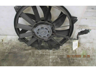 Вентилятор радиатора     1253K2, 22000936    Citroen C4 I 