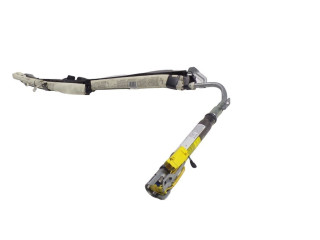 Подушка безопасности двери 1K6880741T, 1K6880741T Volkswagen Golf SportWagen