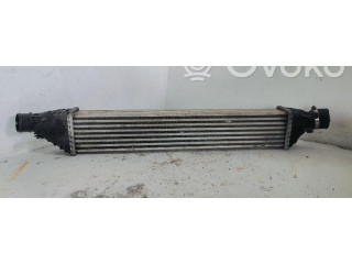 Интеркулер  L9282003   Fiat Freemont 