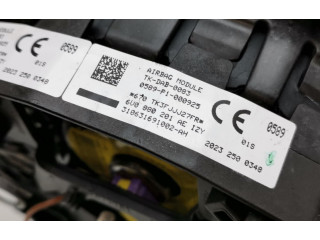 Подушка безопасности двери 6V0880201AE Skoda Fabia Mk3 (NJ)