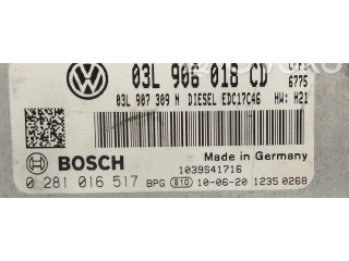Řídící jednotka 0281016517, 0281016517 Volkswagen Tiguan 2010