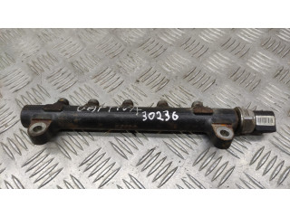 Топливная рампа 96868901, 9307Z528A Chevrolet Captiva 0.2