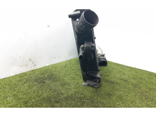 Интеркулер D1912A17 Nissan X-Trail T30