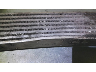 Интеркулер A2205000000, 20198 Mercedes-Benz S W220 3.2