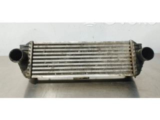 Интеркулер     Ford Transit -  Tourneo Connect 