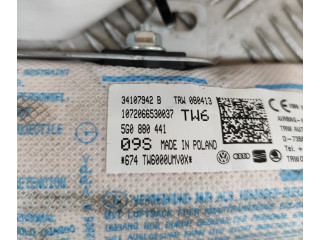 Подушка безопасности в сиденье 5G0880441, 34107942B Skoda Octavia Mk3 (5E)