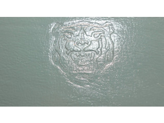 Надувная подушка для руля HJA9180CE, HJA9180CE Jaguar XK8 - XKR