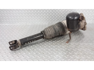 Задний aмортизатор (пневматическое / гидравлическое шасси)