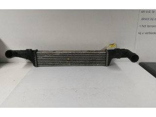 Интеркулер A2105001300, A2105001300 Mercedes-Benz E AMG W210