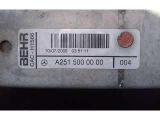 Интеркулер A2515000000004, P2-A11-6 Mercedes-Benz R W251