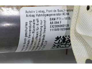 Боковая подушка безопасности EB3B26042D95AD, 2432661 Ford Ranger