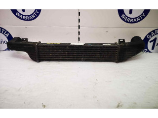 Интеркулер  DJ   Mercedes-Benz E W210 