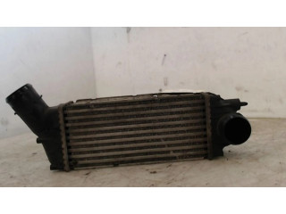 Интеркулер 384G4 Peugeot 307 1.6