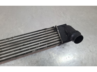 Интеркулер  8200880552, 1100229446   Dacia Duster 