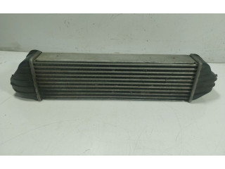 Интеркулер     BMW X3 E83 