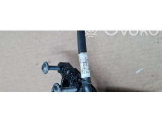 Зеркало электрическое        Audi A5  2016 -  года   