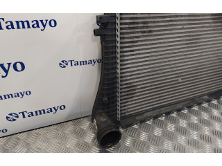 Интеркулер     Volkswagen Passat Alltrack 