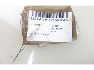 Топливная рампа 9628982980D, 9628982980D Citroen Xsara Picasso для двигателя NFV (TU5JP)