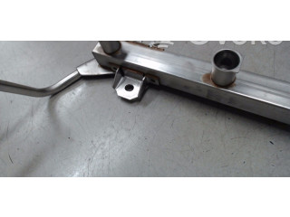 Vstřikovací lišta 7530420 BMW X1 E84