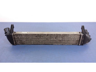 Интеркулер 8200409045 Dacia Duster