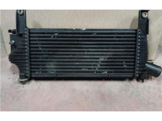 Интеркулер Nissan Pathfinder R51