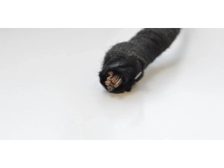 Подушка безопасности пассажира 8ZO880204B Audi A2