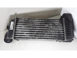 Интеркулер 9636195580 Peugeot 406 2.0