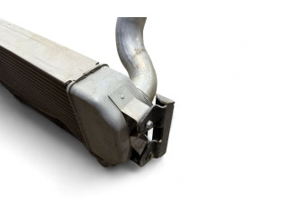 Интеркулер     Fisker Karma 