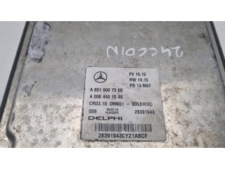 Řídící jednotka A6519007500, 6519007500 Mercedes-Benz C W204 2010