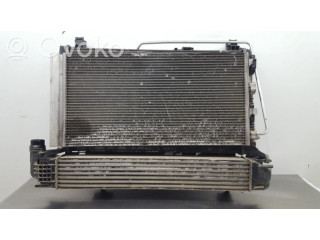 Интеркулер 8200880552 Dacia Duster 1.5