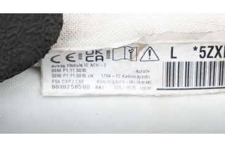 Боковая подушка безопасности 9838258580, 9838258580   Peugeot 2008 II