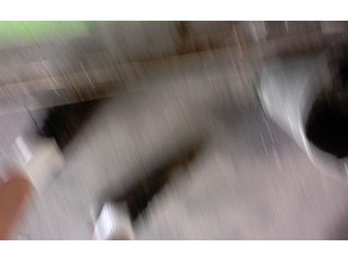 Вентилятор печки Ford Fiesta