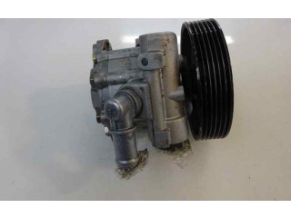 Поршень Насос усилителя руля D8BXUD9TE   Peugeot Expert  