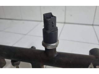 Vstřikovací lišta 0445214017, 0156393 Peugeot 607