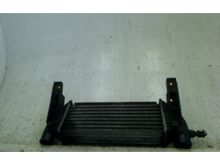 Интеркулер     Ford Transit -  Tourneo Connect 