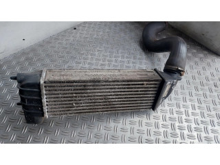 Интеркулер 1489396080, 15095 Citroen C8 2.0