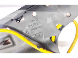 Подушка безопасности в сиденье 305231010001, 305231010001 Audi A6 S6 C6 4F