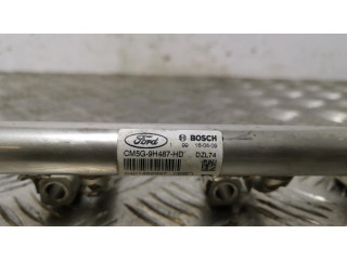 Топливная рампа CM5G9H487HD Ford Ecosport 1.0