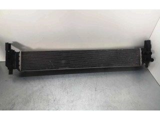 Интеркулер Skoda Rapid (NH)