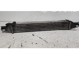 Интеркулер Citroen Nemo